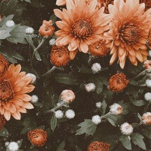 Meet your Posher, Alana